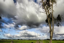 开云体育：1-0！恩佐一击制胜，切尔西一箭双雕，重回英超前四，曼城空欢喜.