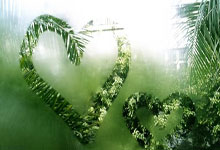 开云体育:恰20:这种水平每两三天踢一场不容易;世界杯是下一个目标.