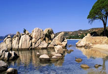 比赛日前瞻：万众一心，关键战中国红能否点燃大莲花？.